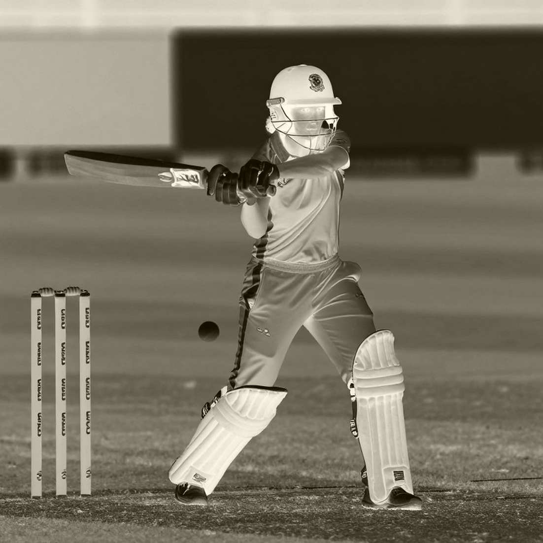 Cricket Analysis Exposes Empty Input: No Data, No Conclusions